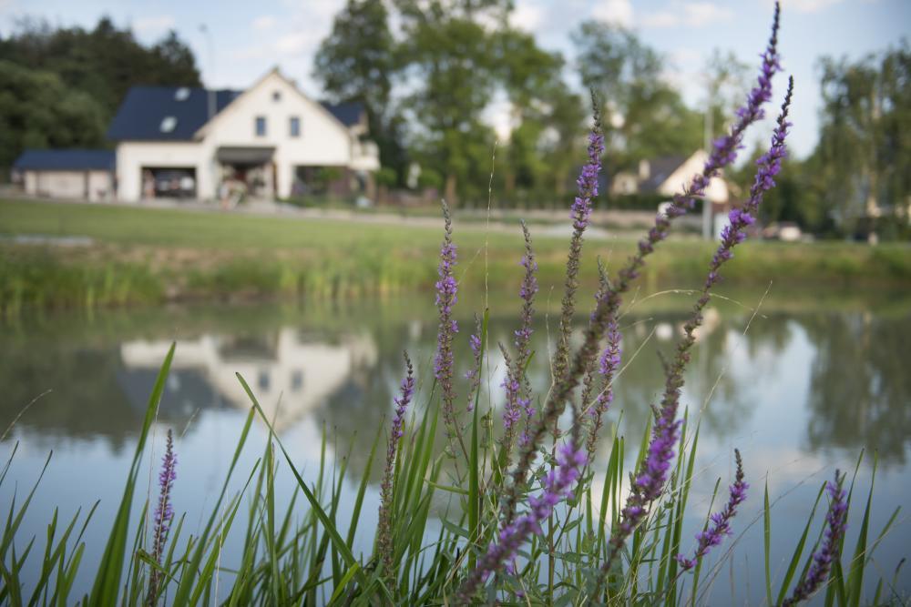 Apartamenty U Harrego I Przy Stawie Spa Z Klimatyzacja, Balia, Sauna, Ogrodem I Parkingiem Kudowa-Zdrój Εξωτερικό φωτογραφία